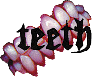 teeth